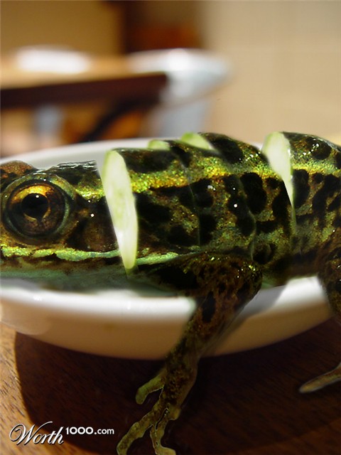 Photoshop Design by bingobaby