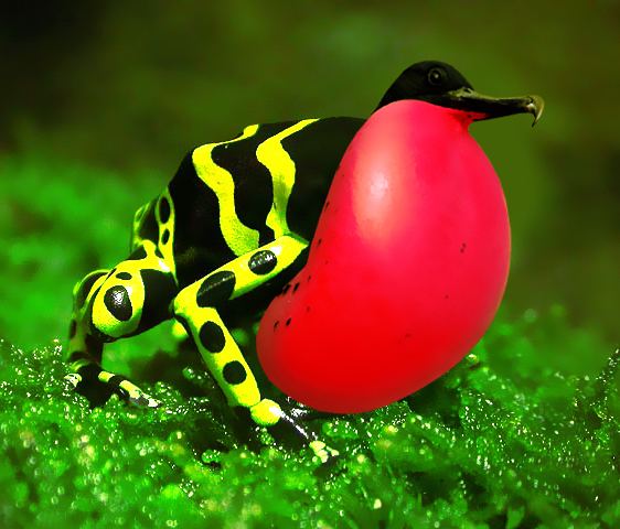 Photoshop Design by deotrip for DesignCrowd (Community Contests) | Design #9069862