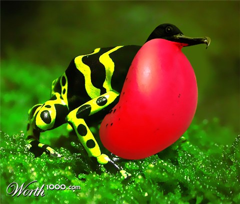 Photoshop Design by deotrip