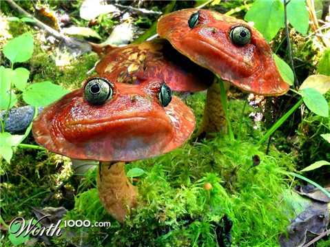 Photoshop Design by jdbeckers