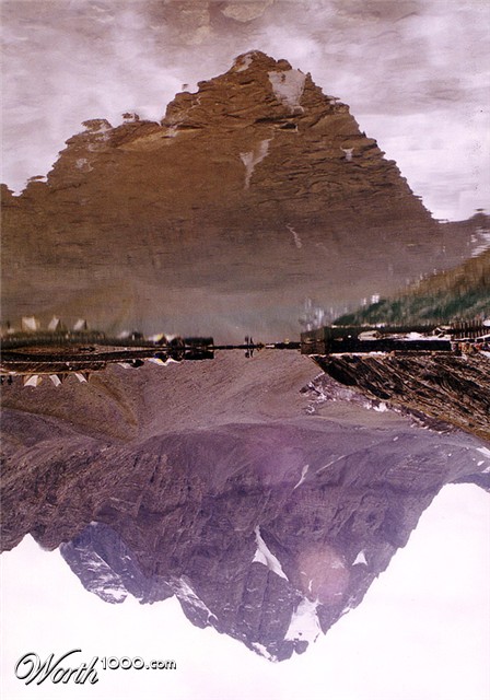 Photography by strown