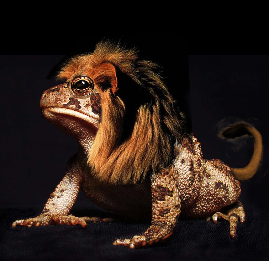 Photoshop-Design von robayer für DesignCrowd (Community Contests) | Design #9069901