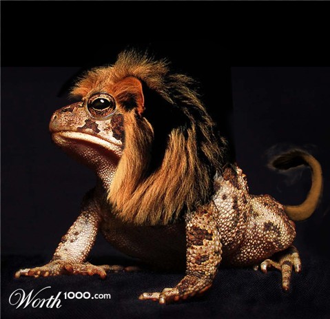 Photoshop Design by robayer