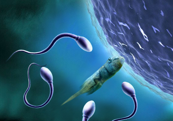 Diseño de Photoshop por TIOCHICO para DesignCrowd (Community Contests) | Diseño #9069963