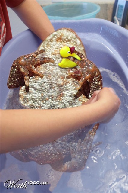 Photoshop Design by geldkobra