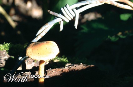 Photography by springbok29