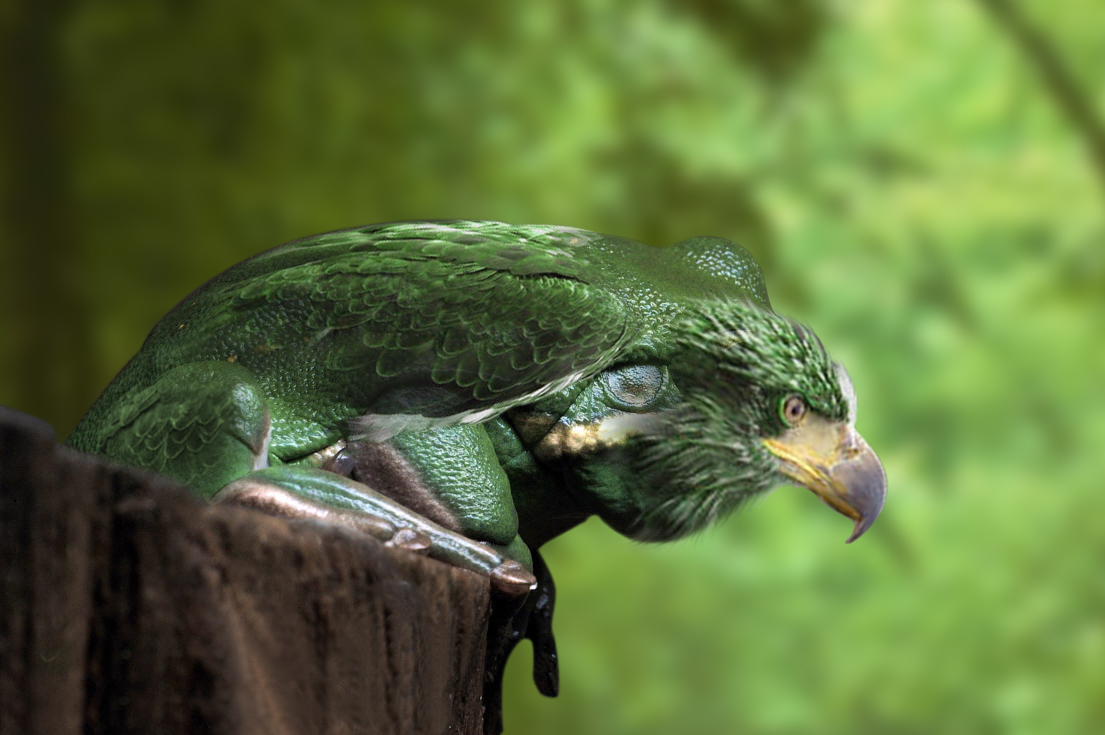 Photoshop Design by surendrasawant for DesignCrowd (Community Contests) | Design #9069945