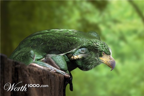 Photoshop Design by surendrasawant