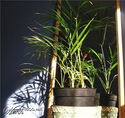 Photography by Massie