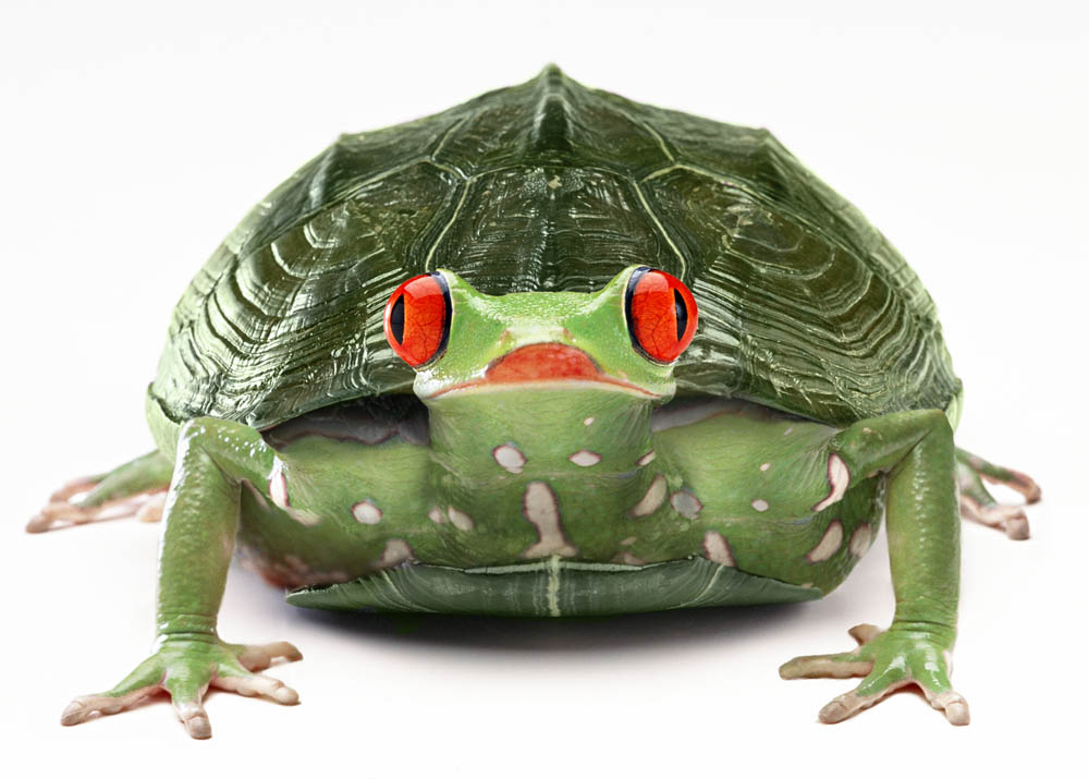 Photoshop Design by Fedorov for DesignCrowd (Community Contests) | Design #9069917