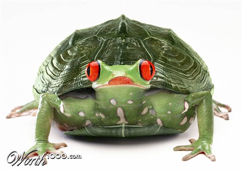 Photoshop Design by Fedorov