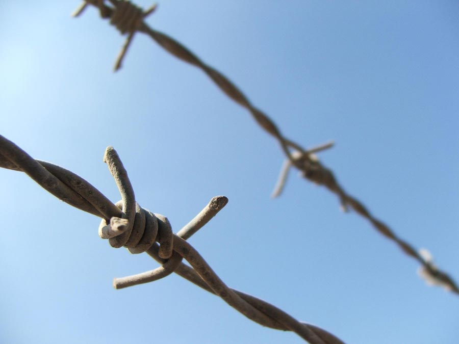 Fotografía por PristineFlame para DesignCrowd (Community Contests) | Diseño #9076825