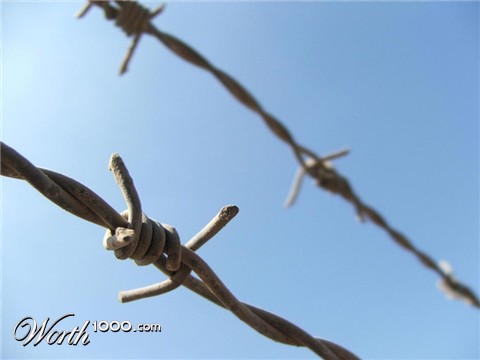 Photography by PristineFlame