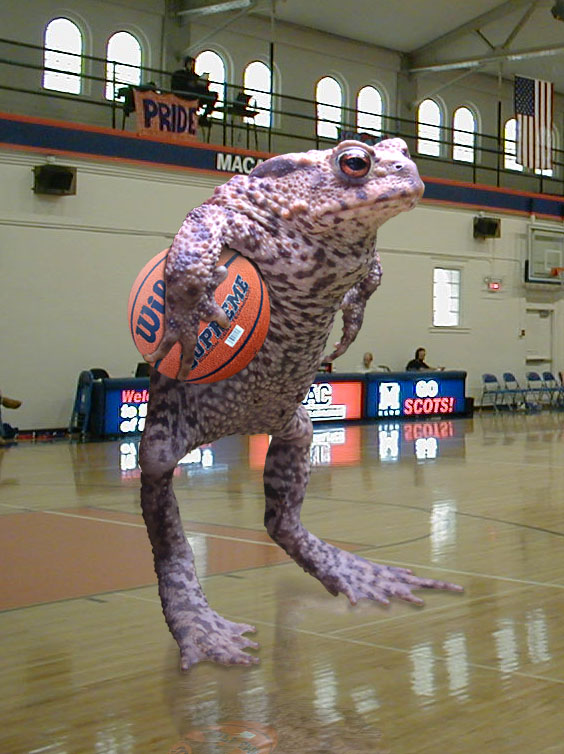 Photoshop Design by xTOTO62x for DesignCrowd (Community Contests) | Design #9069908