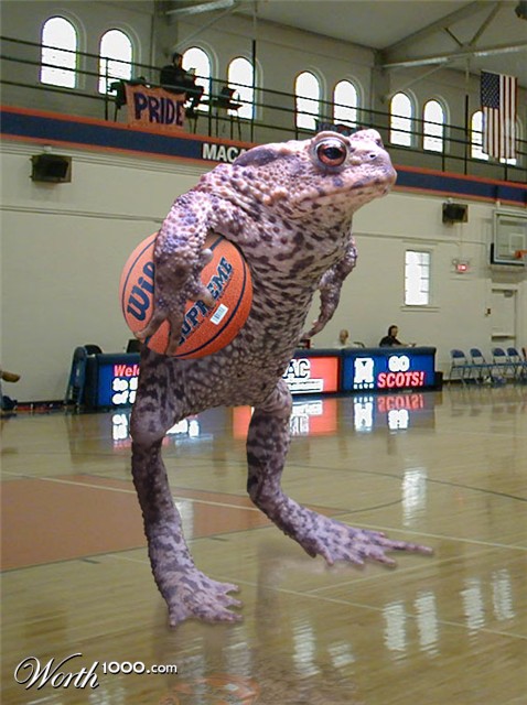 Photoshop Design by xTOTO62x