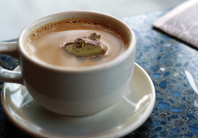 Photoshop Design by KeriBright for DesignCrowd (Community Contests) | Design #9070031