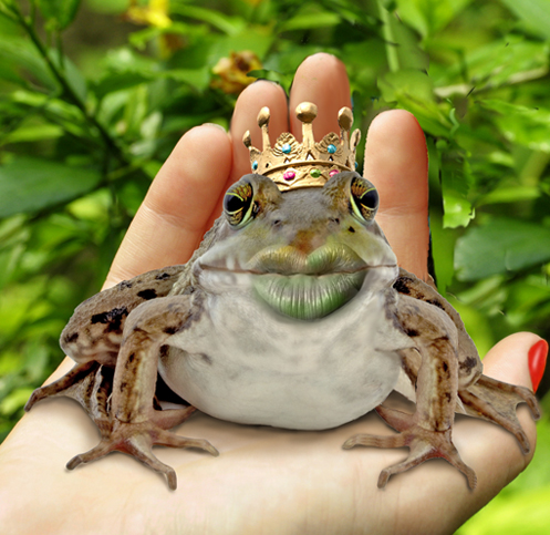 Photoshop Design by kito33 for DesignCrowd (Community Contests) | Design #9070259