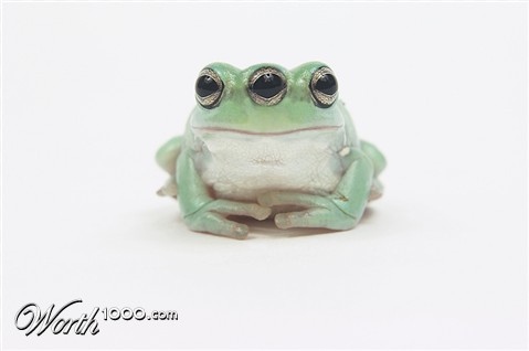 Photoshop Design by fotoshop