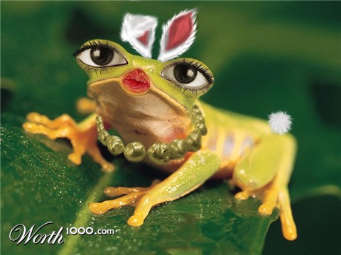 Photoshop Design by Priscila