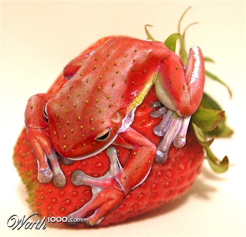 Photoshop Design by Steve1000