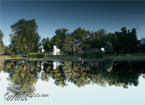 Photography by Pelican