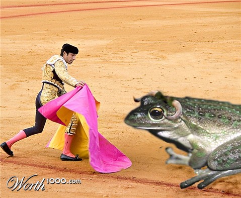 Photoshop Design by willyr