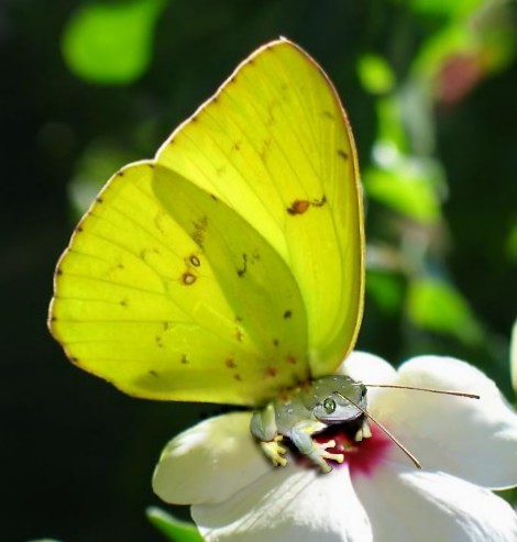 Photoshop-Design von rdyfrdy für DesignCrowd (Community Contests) | Design #9070135