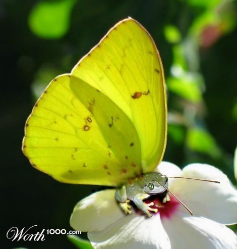 Photoshop Design by rdyfrdy