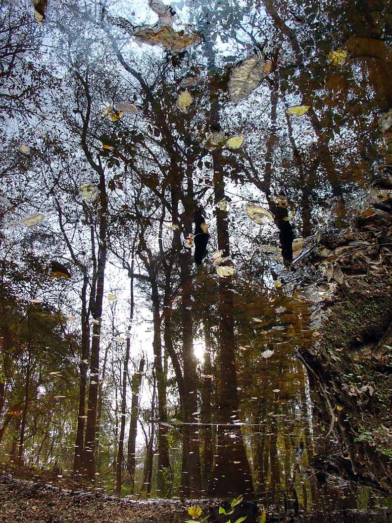 Photography by mare53 for DesignCrowd (Community Contests) | Design #9072460