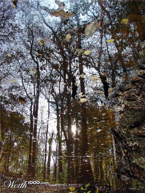 Photography by mare53