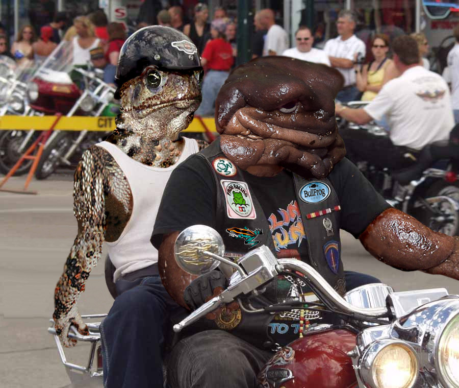 Design Photoshop par beeshamommy pour DesignCrowd (Community Contests) | Design #9070180