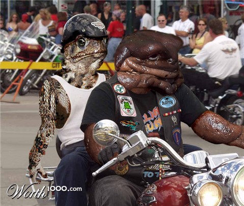 Photoshop Design by beeshamommy