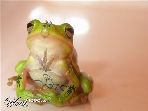 Photoshop Design by attardog