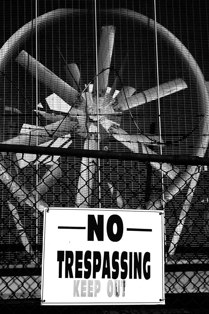 Photography by lalaland437 for DesignCrowd (Community Contests) | Design #9076829