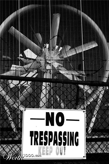 Photography by lalaland437