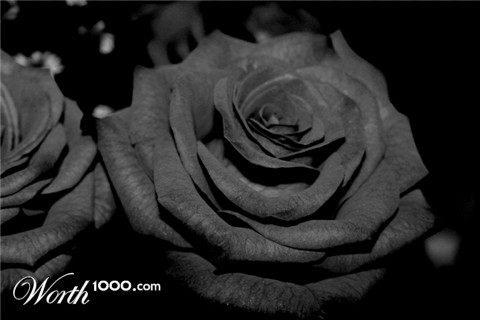 Photography by Nitsujcm