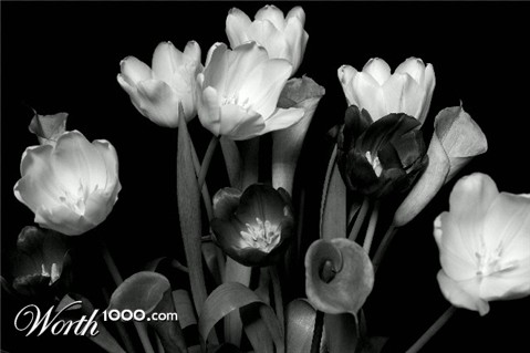 Photography by sns1953