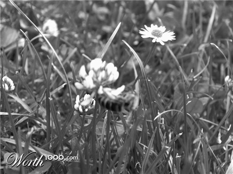 Photography by Way2Evil