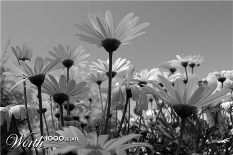 Photography by Marthese