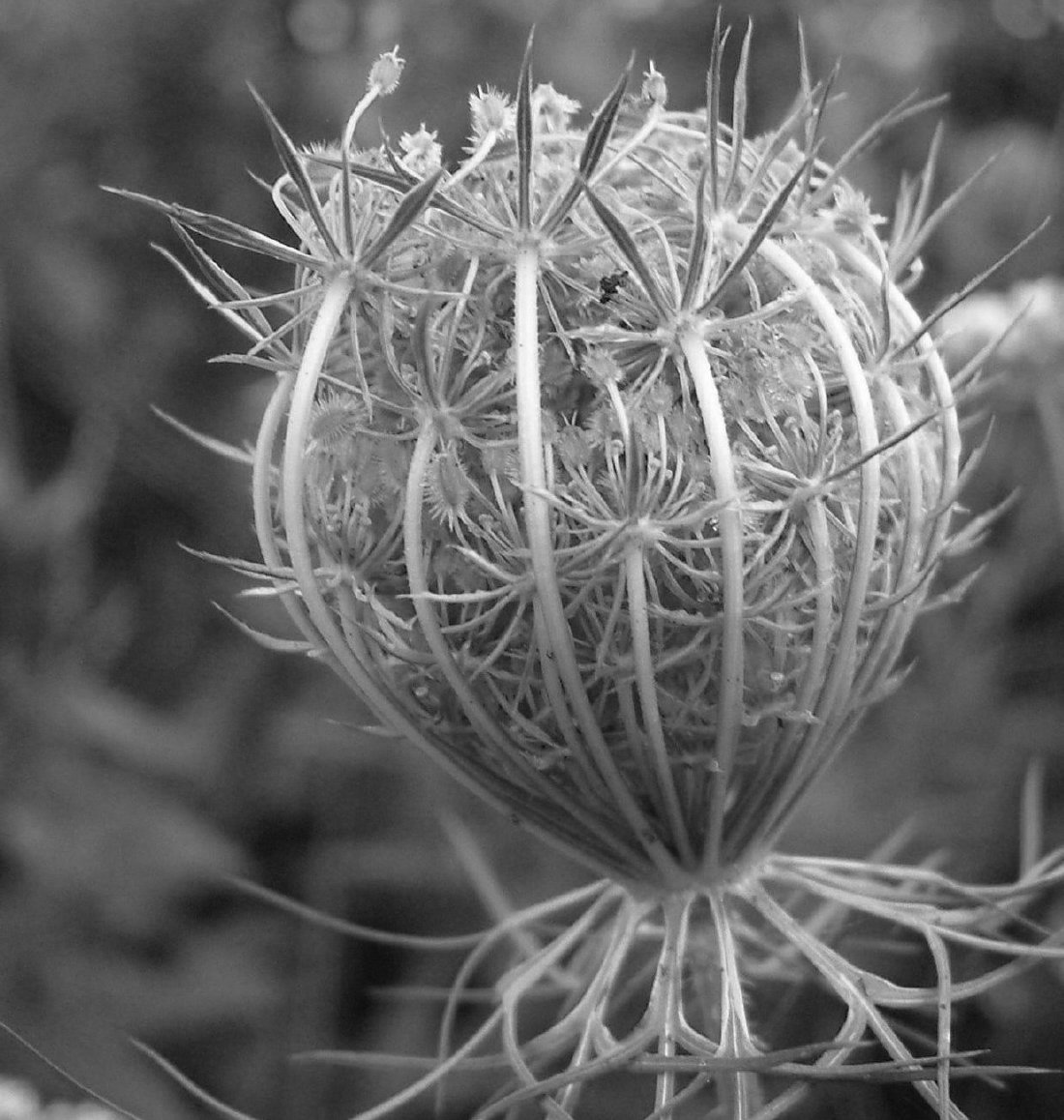 Fotografie von Haland für DesignCrowd (Community Contests) | Design #9071656
