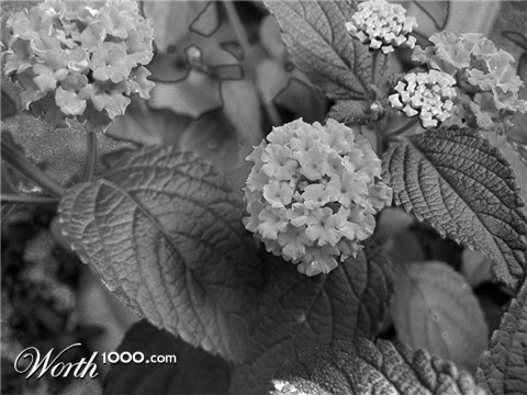 Photography by jandreu