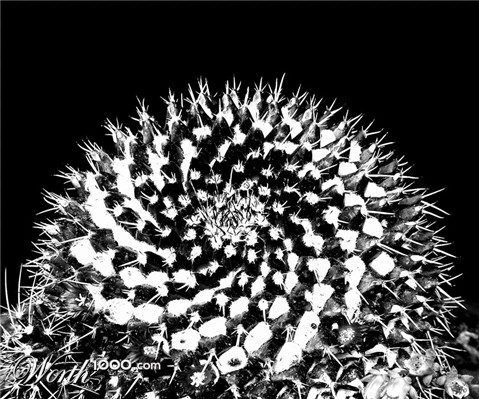 Photography by ginscambia