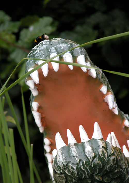 Fotografía por MilleDju para DesignCrowd (Community Contests) | Diseño #9080332