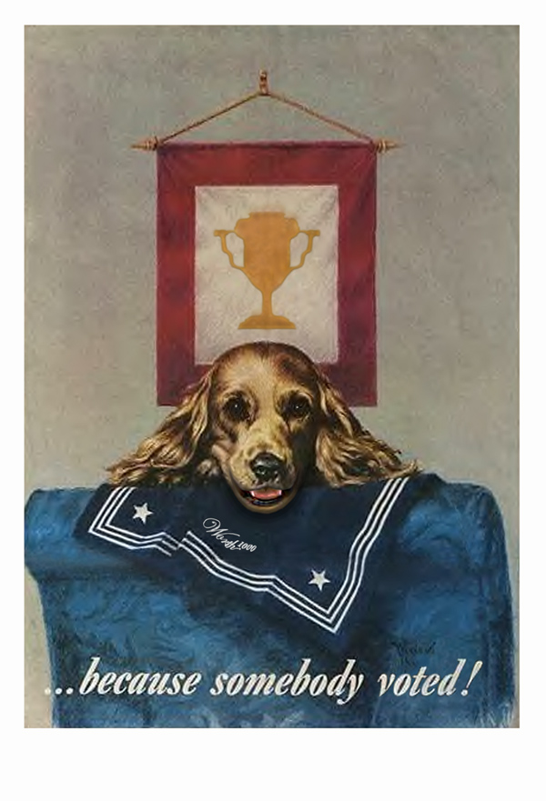 Photoshop Design by stewacrowd for DesignCrowd (Community Contests) | Design #9071353