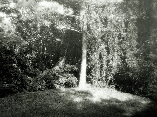 Photography by Defaultic for DesignCrowd (Community Contests) | Design #9071712