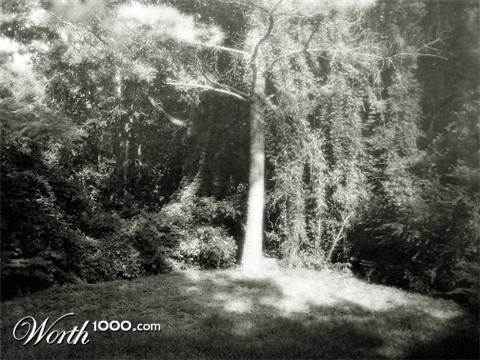 Photography by Defaultic