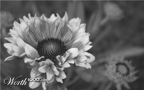 Photography by rdyamiphoto