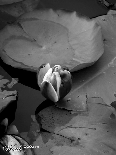 Photography by chichoslg