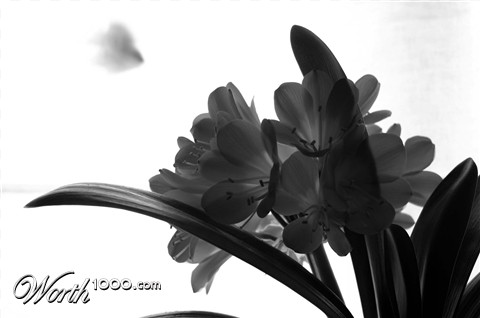 Photography by EmilBanck