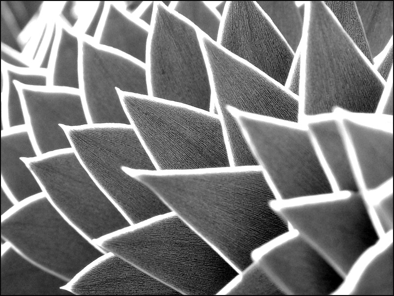 Photography by Craigr1978 for DesignCrowd (Community Contests) | Design #9071779